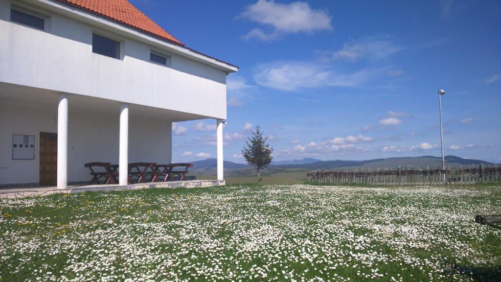Apartments Zlatiborski Visovi エクステリア 写真